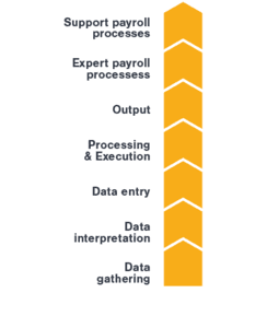 TCO Payroll process